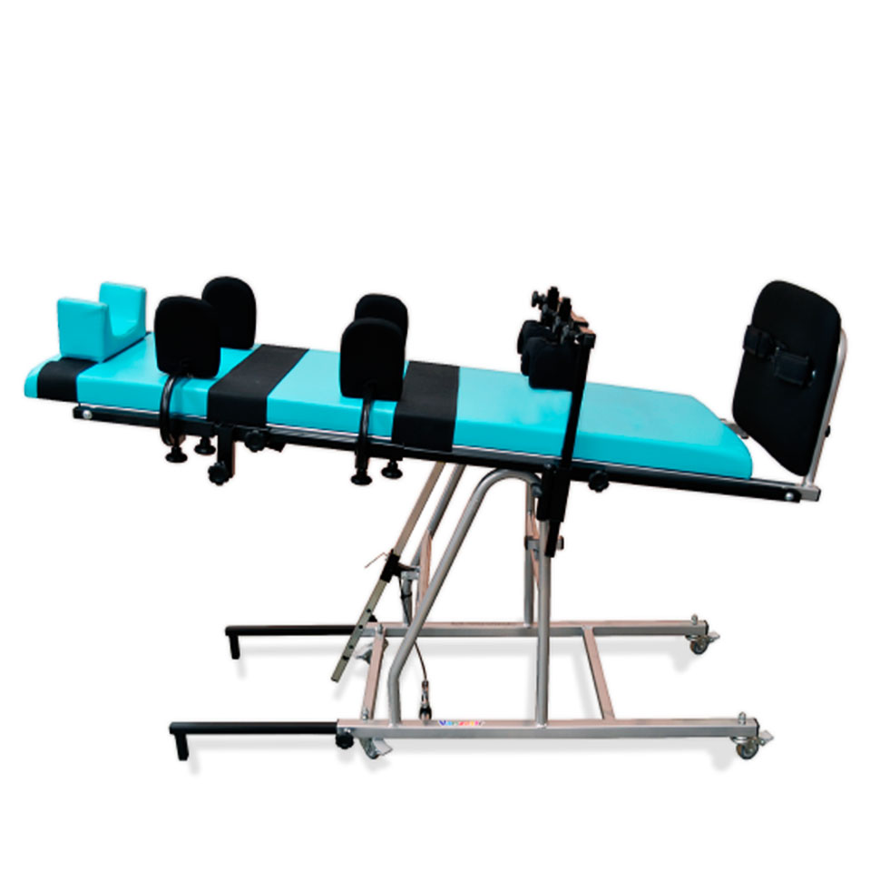 Estabilizador Vertical Eréctus Juvenil - Vanzetti